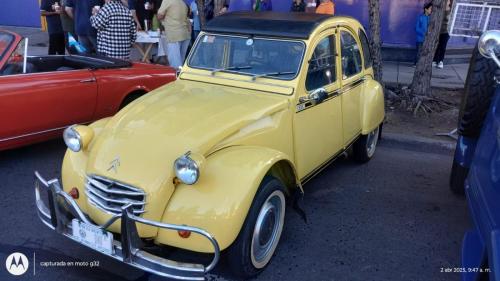 2-de-Abril-de-2025-16