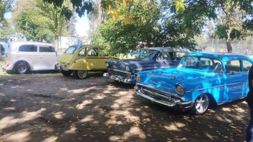 2-de-Abril-de-2025-37