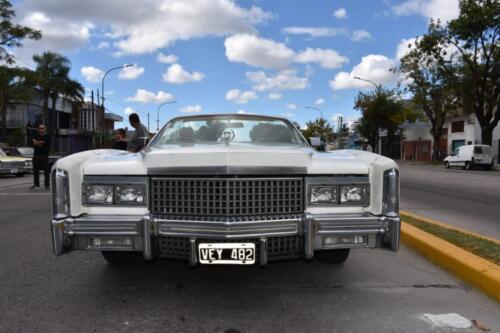 autos-que-participaron-en-el-evento-de-Mallvinas-2024-46