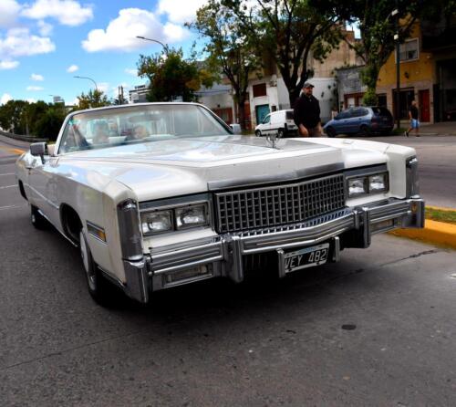 autos-que-participaron-en-el-evento-de-Mallvinas-2024-78