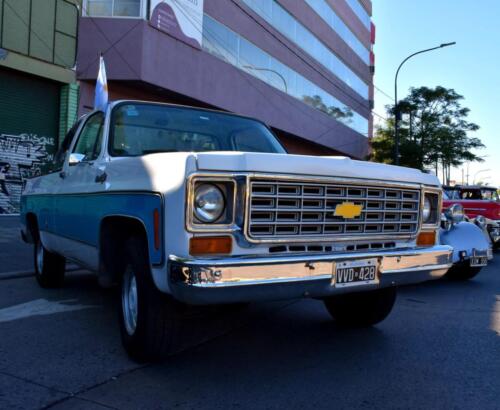 autos-que-participaron-en-el-evento-de-Mallvinas-2024-99